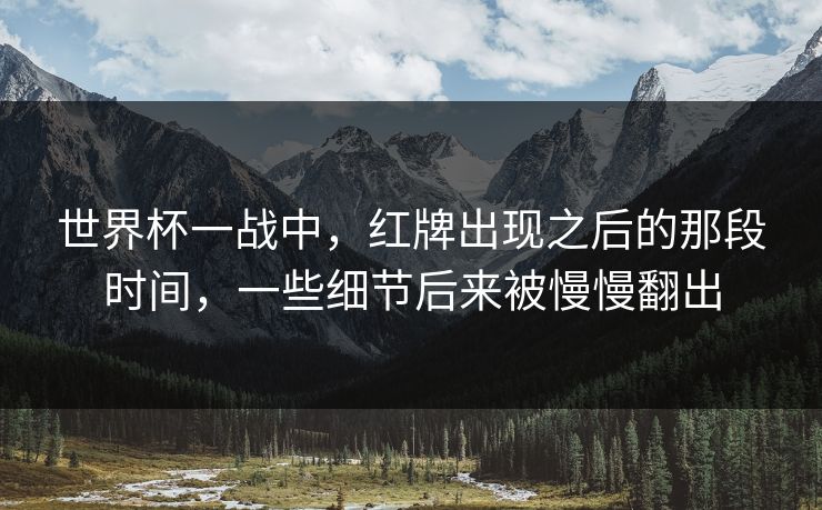 世界杯一战中，红牌出现之后的那段时间，一些细节后来被慢慢翻出