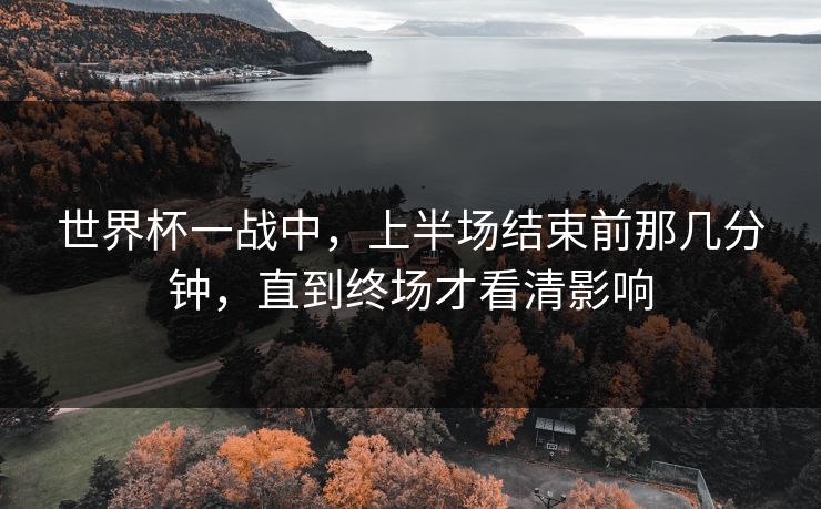 世界杯一战中，上半场结束前那几分钟，直到终场才看清影响